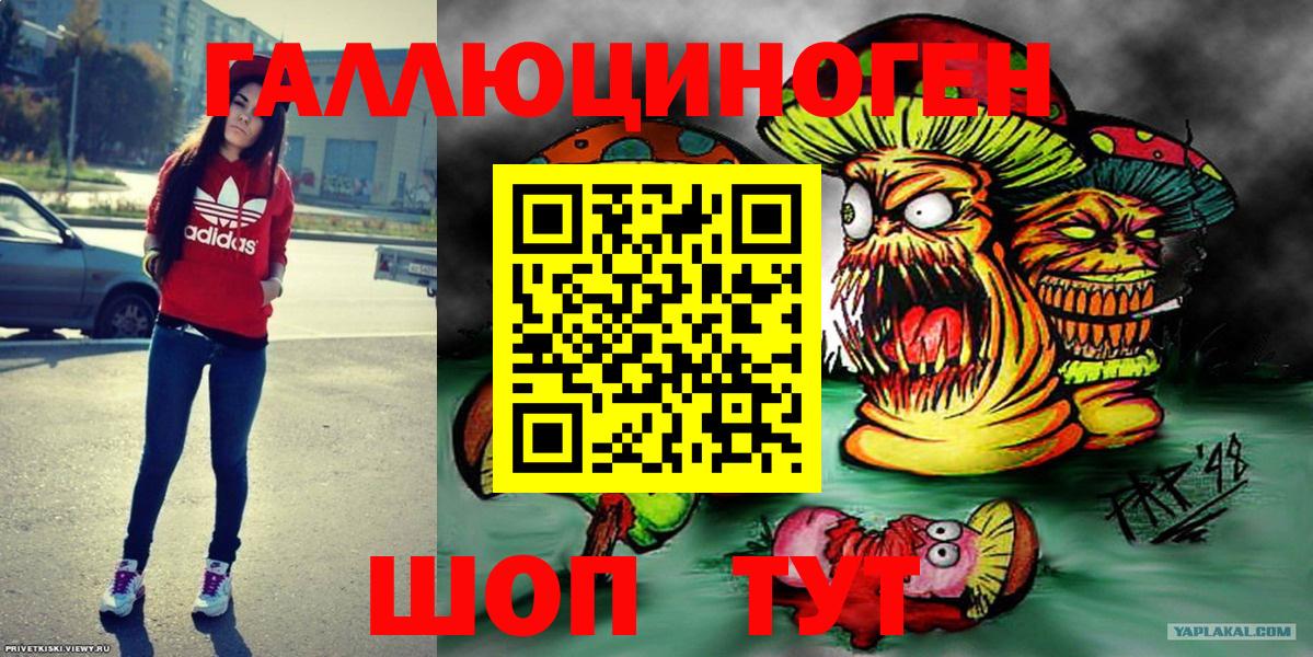 Губаха  где можно купить   Вход с VPN  Псилоцибиновые грибы ЛСД 